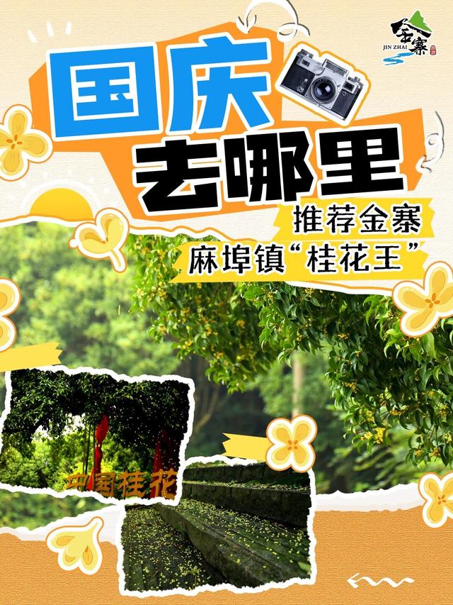 九图扫遍金寨秋！桂香、茶园、露营… 国庆行程直接抄，这波稳了！