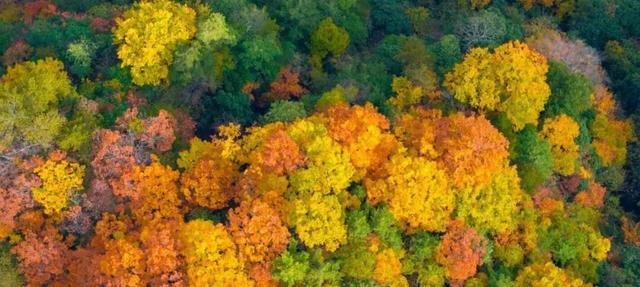 汉中黎坪景区闭园公告
