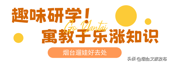 【乐游烟台】高性价比！烟台被严重低估的神仙遛娃地
