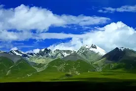 依靠“泡温泉定居”，青藏高原上也有蛇，它们还不需要冬眠？图片