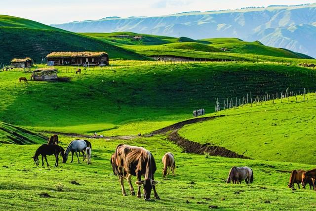 收藏起来慢慢去！国内10个地方人少景美，去过5个以上算旅行家