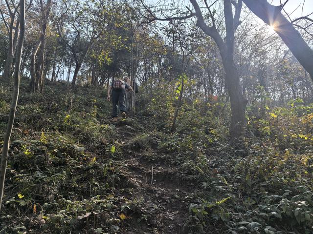 南京龙尚湖，大连山，佘村一日郊野徒步