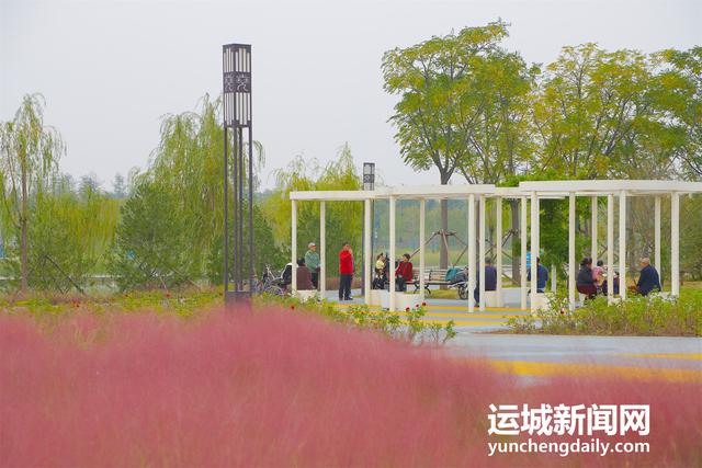 山西运城：粉黛如梦映尧园 秋日花海引客来