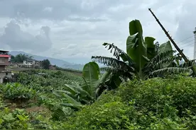 “赤脚医生”非法行医背后的乡村医疗：身份尴尬的老村医和留不住的年轻人图片