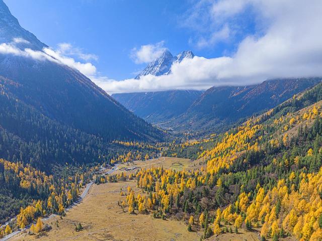 赏秋自驾，10月-11月适合去的7条自驾线路，风光多样，秋景宜人