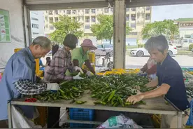 “日子越过越好”！助农增收，广东供销把优质农产品“端”上全国餐桌图片