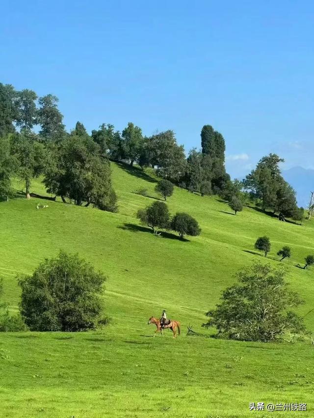 #“我的铁路风景”故事汇#金秋全域特色线路丨走，金秋我们去新疆！