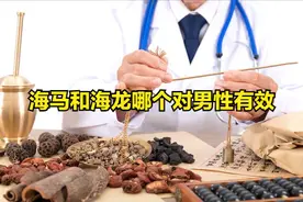 海马和海龙哪个对男性有效图片