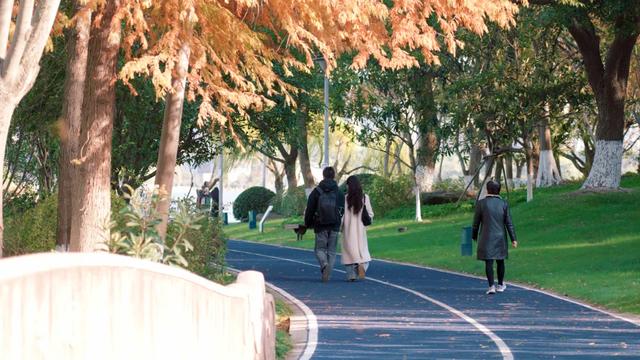 这样的张家港，我“All in”了！