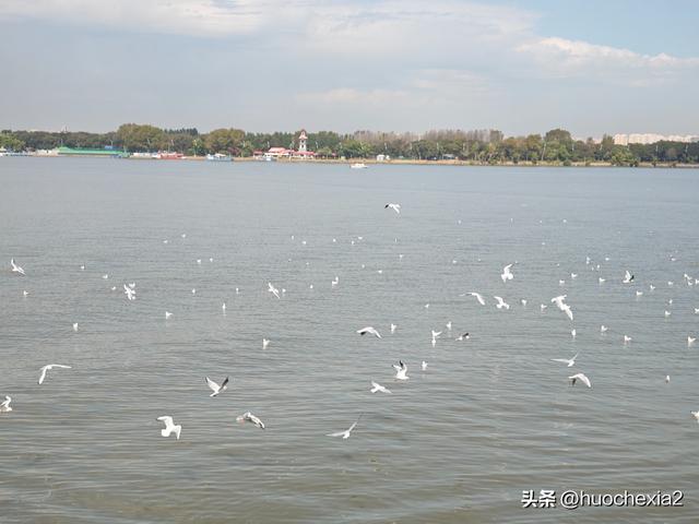 3200公里东北行（D2）——哈尔滨松花江畔