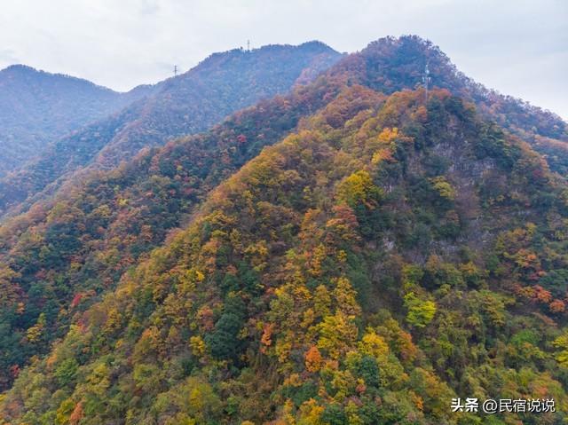 武汉不止这五千亩红叶，最大赏秋地绝了！