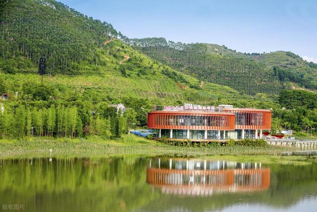 梧州旅游全攻略：品味岭南古韵，漫游茶香江城