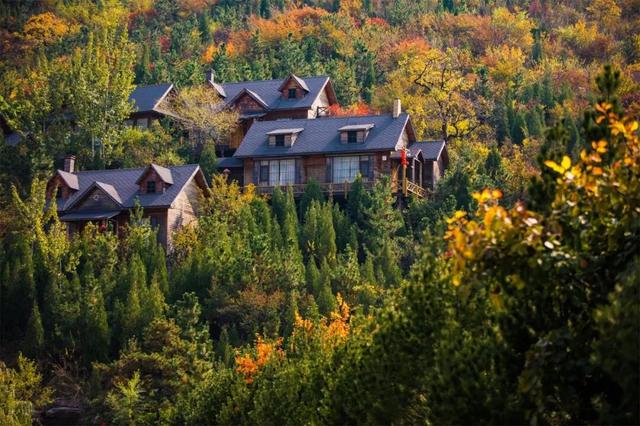 淄博金秋打卡攻略！红叶进入高饱和模式，教你拍出手机氛围感大片！