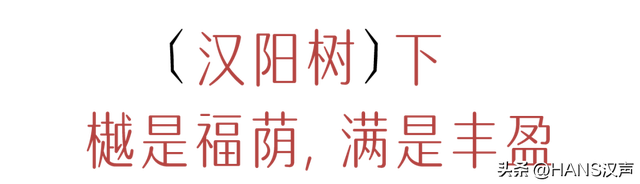 地道武汉，正在汉阳