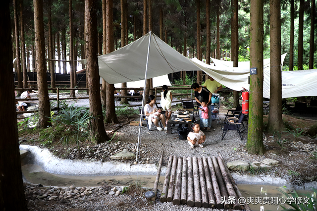 品咖啡、喝精酿、闻松香......在修文县山寻露营基地过一场20℃的慢生活