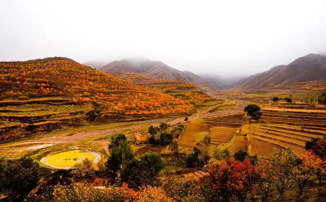 【白银文旅】冬已至秋渐远，再赏一波靖远的秋