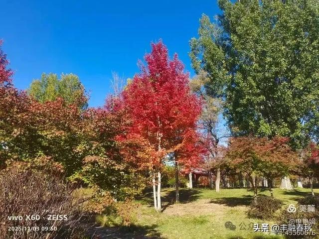 青岛即墨马山寻趣：一座地质公园的秋日私语｜申艳娟