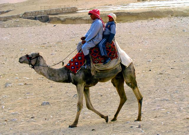 埃及旅游：难忘两访开罗探寻古老文明行（图）