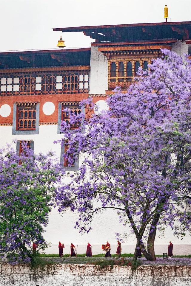 全球“有钱难入”的旅行地！与中国相邻，却仅有164中国人去过