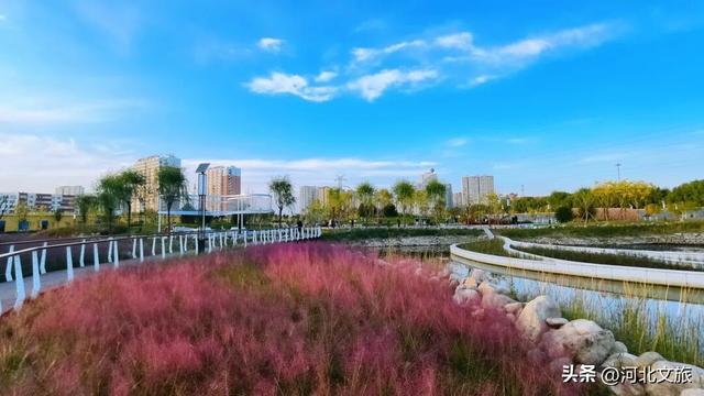 实拍!秦皇岛家门口的免费好去处,这个百亩湿地公园晚上也能逛~