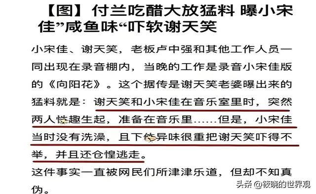 这一夜，被传“陪睡上位、知三当三”的宋佳，让整个娱乐圈沉默了