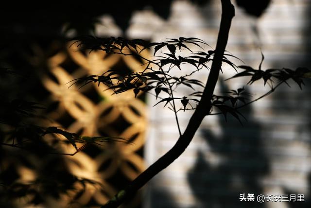 少陵原上杜公祠