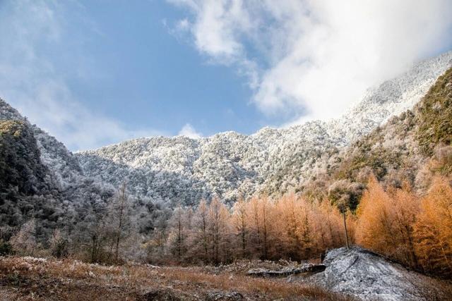 成都的初雪已上线！快来赴一场冬日浪漫之约