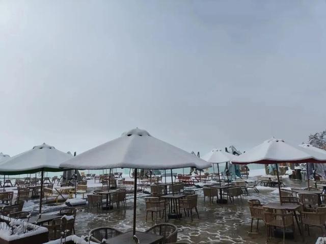 成都这里下雪啦！