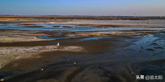 景泰盐沼湿地暮秋风景异
