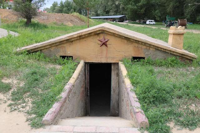 齐鲁红妆赴天山 屯垦戍边铸丰碑——1952年山东女兵支援新疆纪实