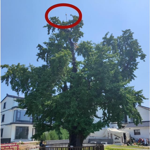 苏州十大“寿星”出炉！