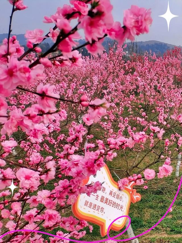 青秀山风景区介绍！南宁5A级仙境隐藏玩法，私藏路线大公开！
