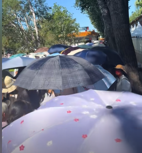 贵州彻底失守！全国游客“攻占”城邦，人潮汹涌，多个地区已沦陷