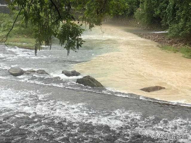 探索温州小众宝藏旅游地，这个以矴步命名的静美古村落不容错过