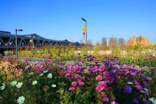 小信宣文旅 ▍“十五五”，锚定“文化强师、旅游强师、体育强师”目标！