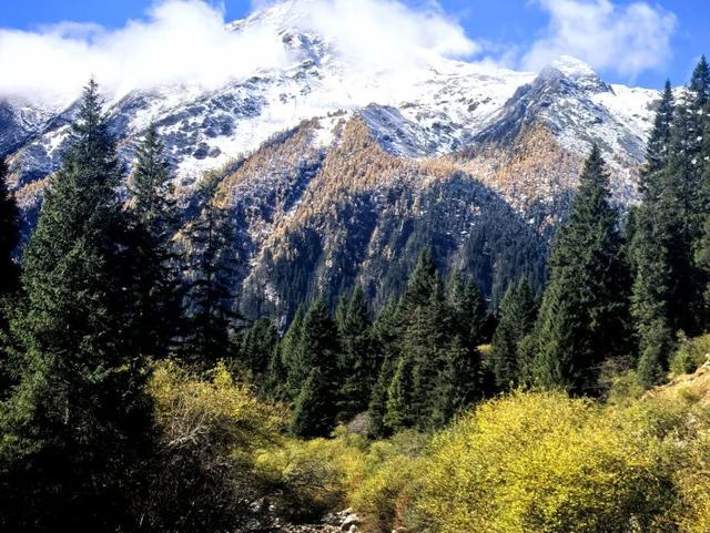 别再等！达古秋冬双景已上线，从彩林穿越到雪域