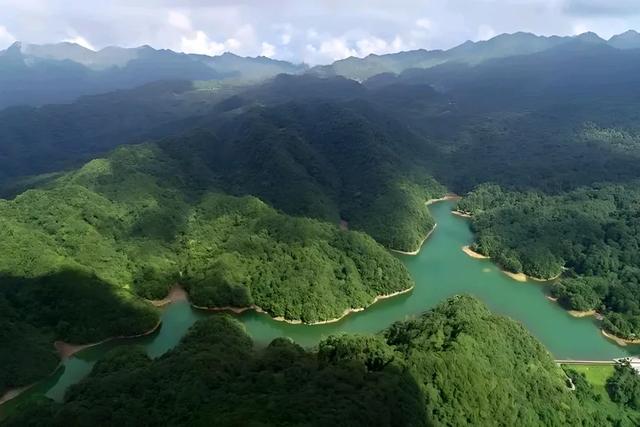 贵州绥阳的宽阔水原始森林