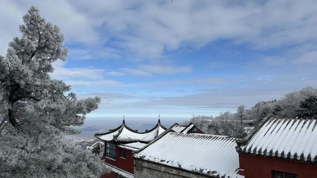 我想离开浪浪山，去看看泰山的四季轮转！
