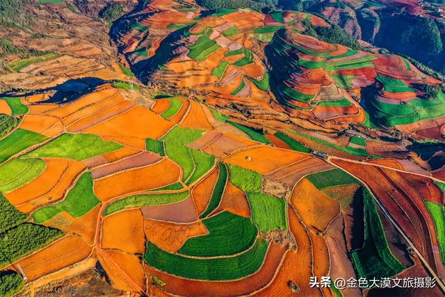 春日爆款!花季限定·2月8日/3月8日出发【花开滇境·七彩云南】8日