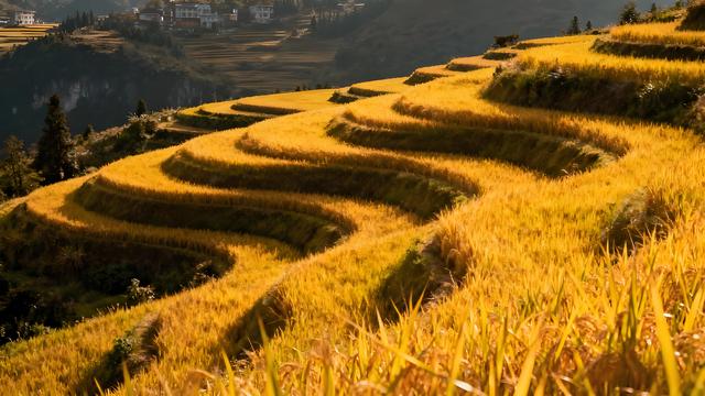 风裁云锦缀林丘，黔韵流香漫绮楼 —— 贵阳清秋揽胜记
