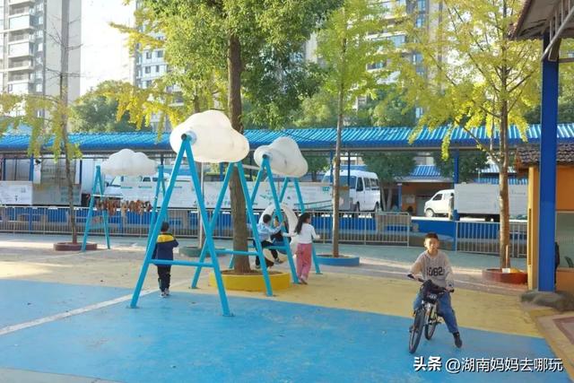 藏不住了!望城这片小众银杏秘境已到最佳观赏期,还能露营、骑行、摘果子