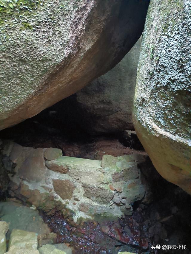 爬灵山石树感触到的（一）