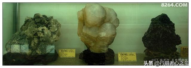 山东行游影记（31）—平邑天宇自然博物馆（六）