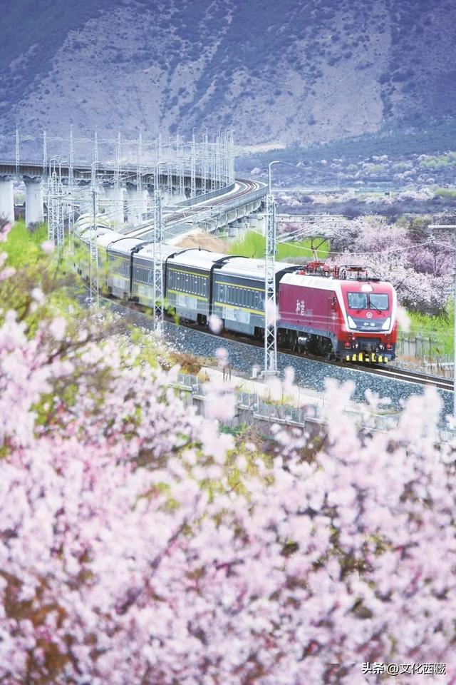 60年，西藏文旅的“逆袭记”：藏戏新生、铁路穿山、万羚奔腾！