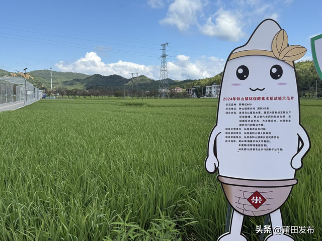 莆田仙游南兴村，稻田里藏着四季童话