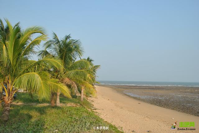 中国大陆最南县，去看大陆最南的海，不仅有海还有“菠萝的海”！
