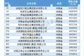 中国民营企业500强榜单发布，河南15家企业上榜图片