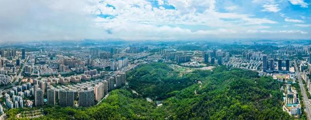 🤳原来秋天的龙岗，要这么追……