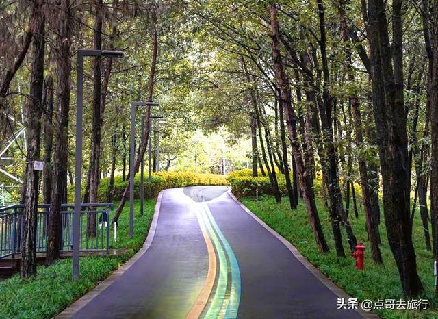 成都秋天最时髦户外活动，不久会火，这些地方都是捡秋的宝藏地