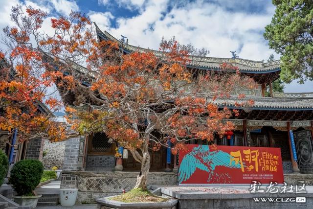 寻美云南（四）大理凤羽，诗意旅居